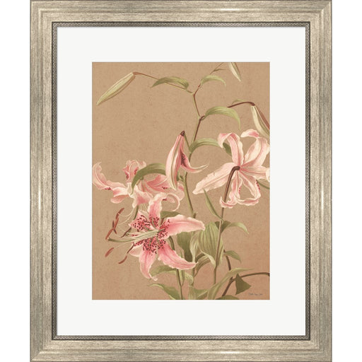 Antique Botanical Collection 3 by Stellar Design Studio, Framed Art