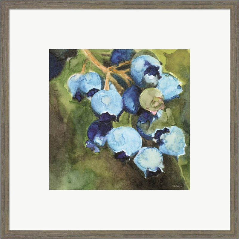 Blueberries 1 by Stellar Design Studio, Framed Art