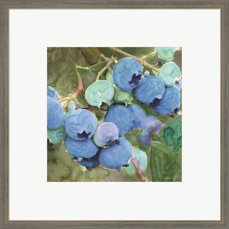 Blueberries 2 by Stellar Design Studio, Framed Art
