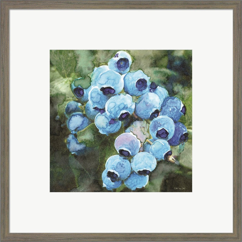 Blueberries 3 by Stellar Design Studio, Framed Art