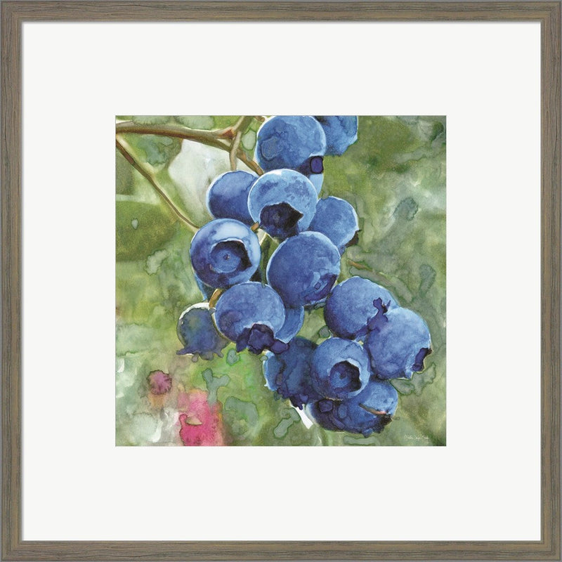 Blueberries 4 by Stellar Design Studio, Framed Art