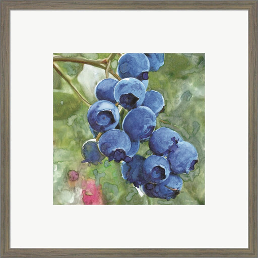 Blueberries 4 by Stellar Design Studio, Framed Art