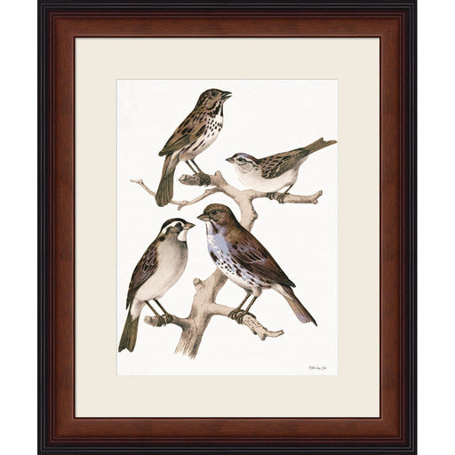 Birds on Branch by Stellar Design Studio, Framed Art