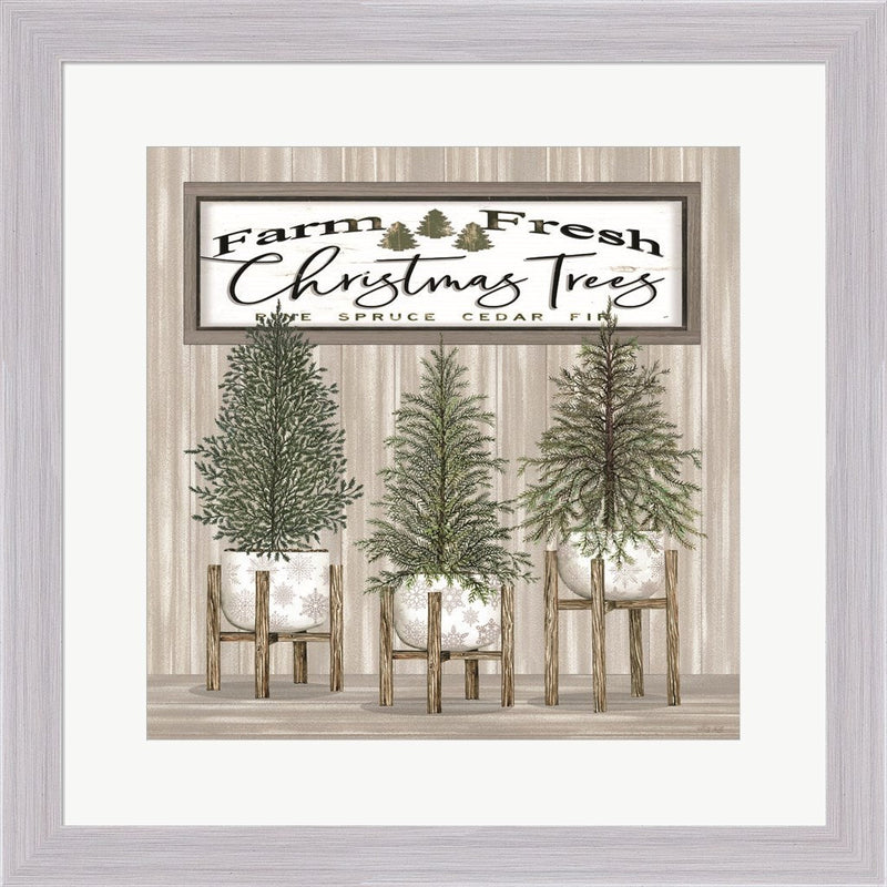Potted Christmas Trees by Cindy Jacobs, Framed Art