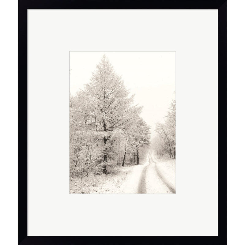 Berry Mountain Road by Lori Deiter, Framed Art