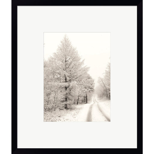 Berry Mountain Road by Lori Deiter, Framed Art