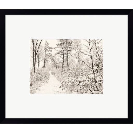 Winter Walk by Lori Deiter, Framed Art