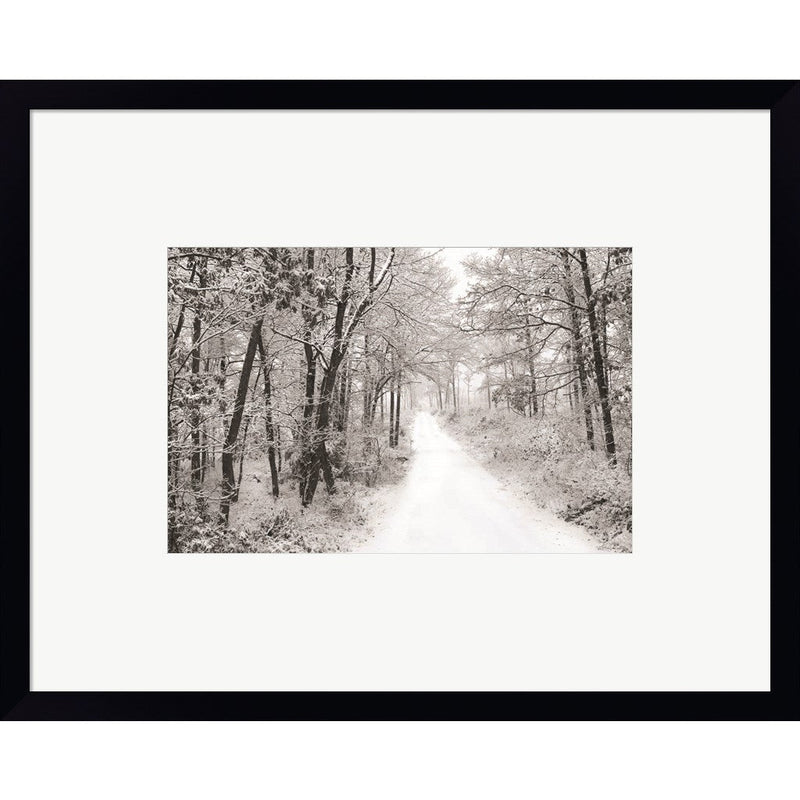 Snowy Lane by Lori Deiter, Framed Art