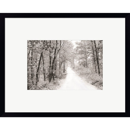 Snowy Lane by Lori Deiter, Framed Art