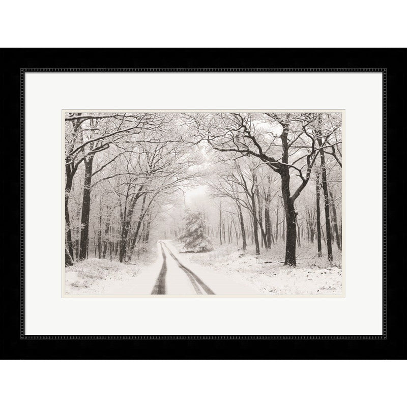 Wintry Road by Lori Deiter, Framed Art