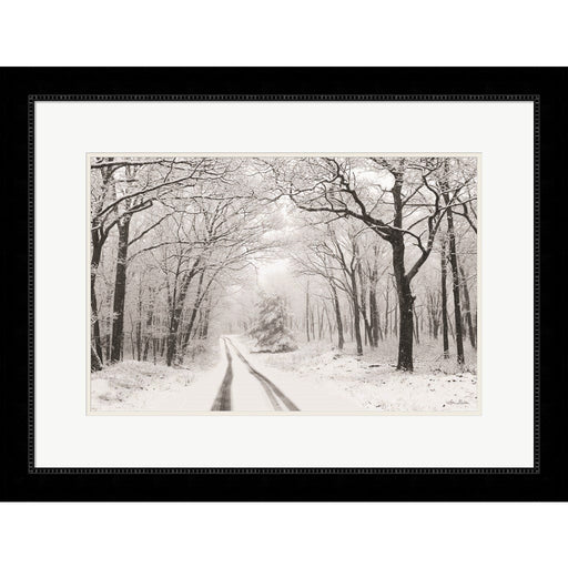 Wintry Road by Lori Deiter, Framed Art