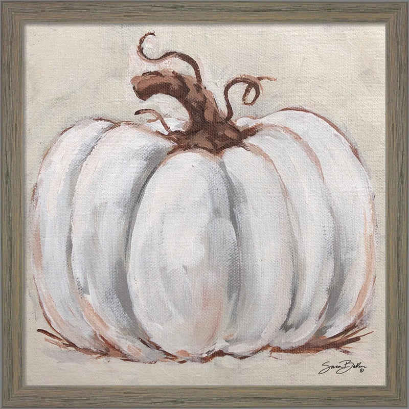Pumpkin Close-Up I by Sara Baker, Framed Art