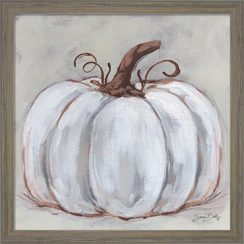 Pumpkin Close-Up II by Sara Baker, Framed Art