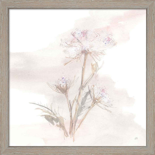 Queen Annes Lace IV by Chris Paschke, Framed Art