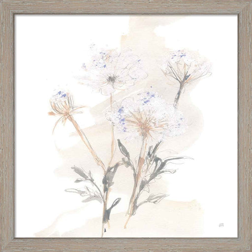 Queen Annes Lace II by Chris Paschke, Framed Art