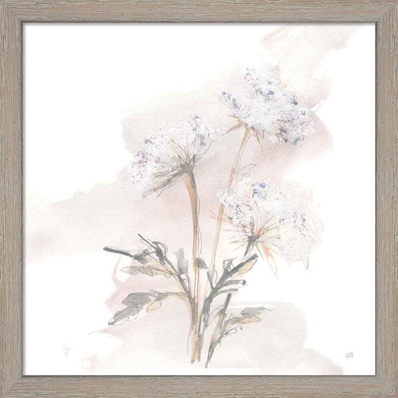 Queen Annes Lace I by Chris Paschke, Framed Art