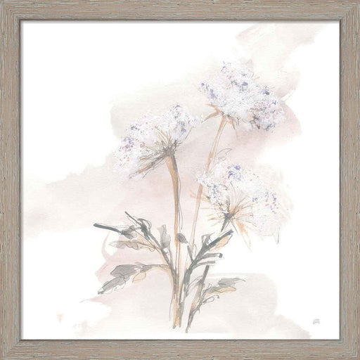 Queen Annes Lace I by Chris Paschke, Framed Art