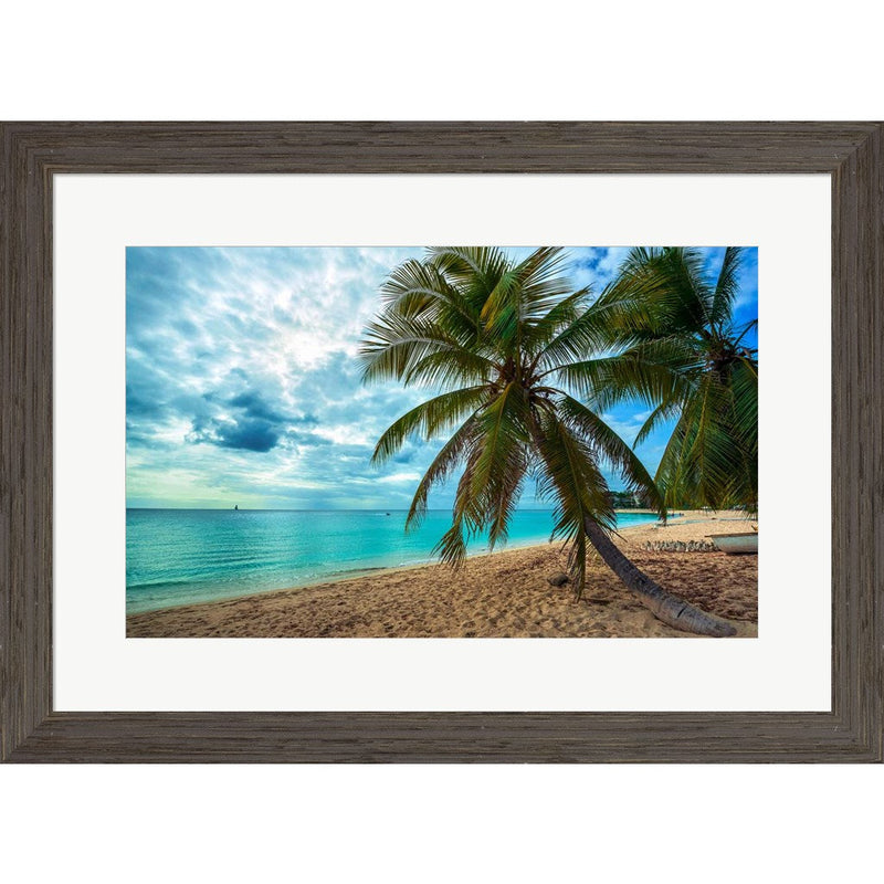 Palm Tree Dreams by Lizzy Davis, Framed Art