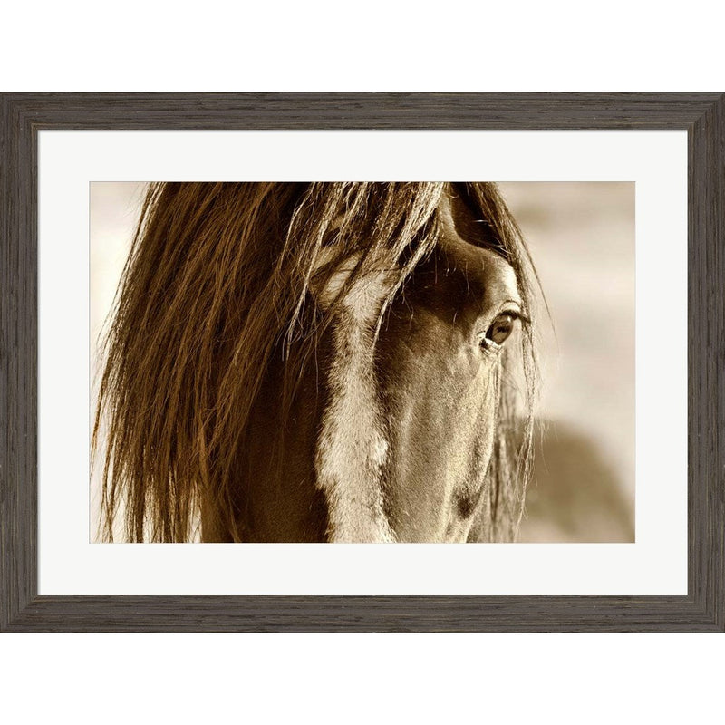 Amante by Lisa Dearing, Framed Art