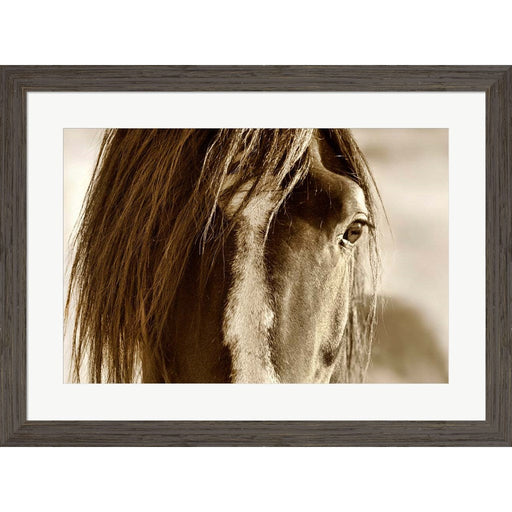 Amante by Lisa Dearing, Framed Art