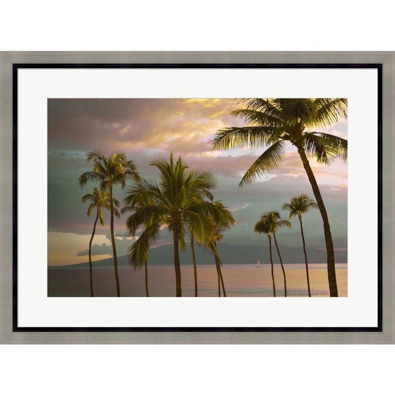 Hawaii Palm Sunset No. 1 by Carlos Vargas, Framed Art