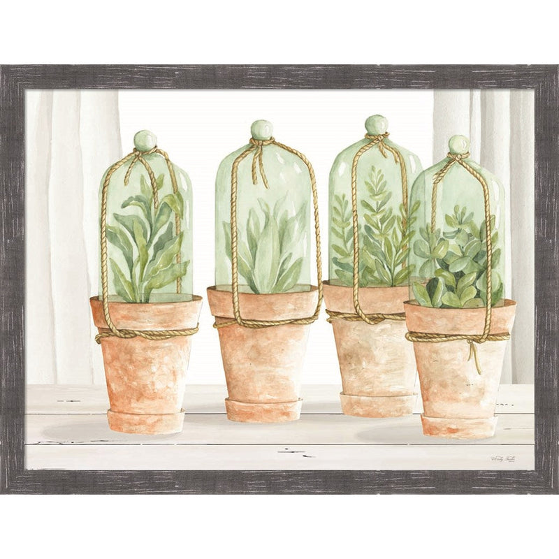Herb Collection by Cindy Jacobs, Framed Art