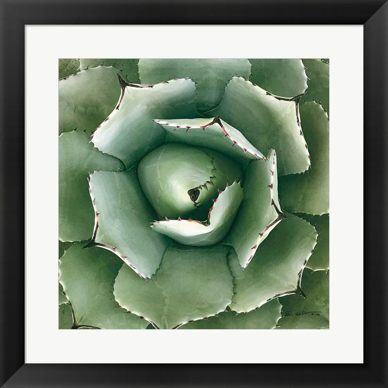 Cactus Verde II Green by Ed Goldstein, Framed Art