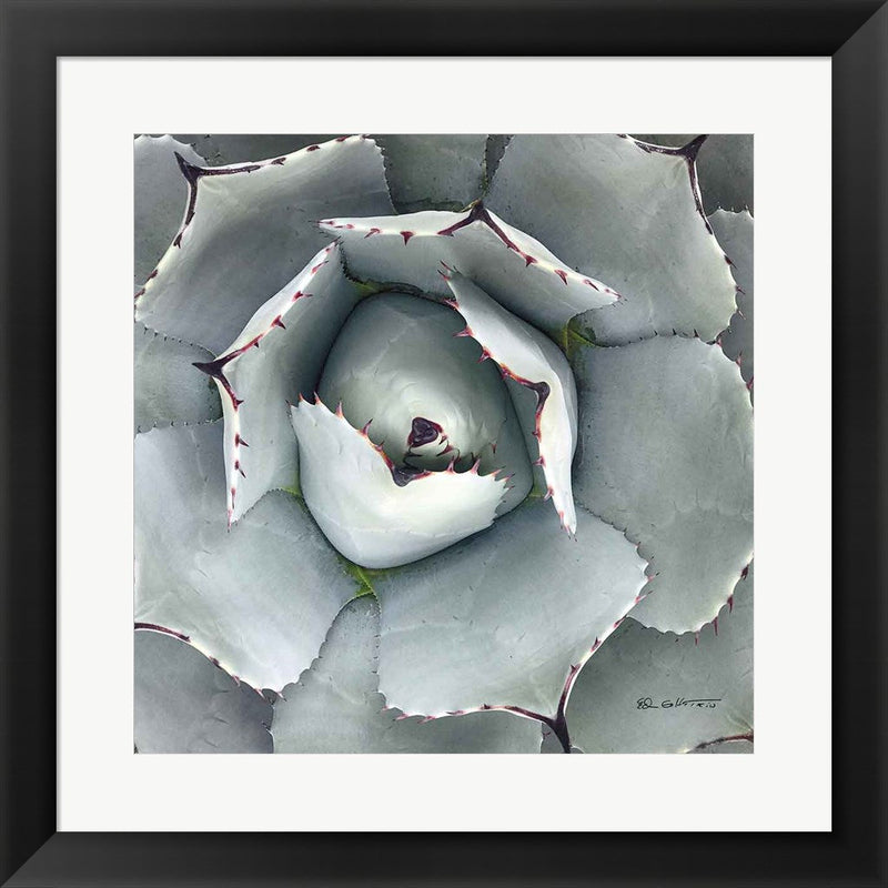 Cactus Verde I by Ed Goldstein, Framed Art
