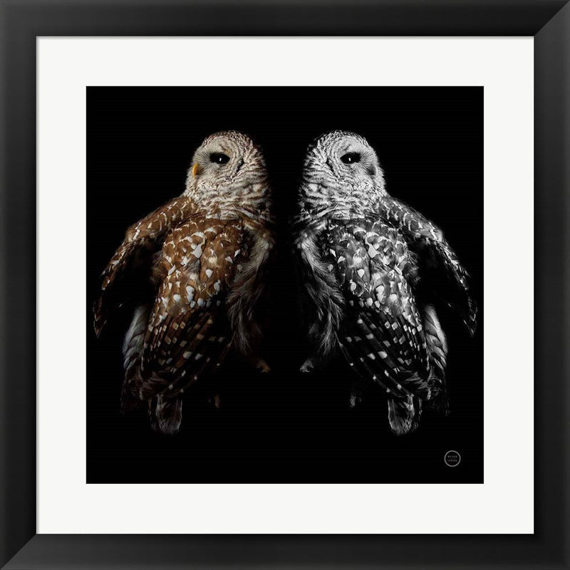 Still a Life by Nathan Larson, Framed Art