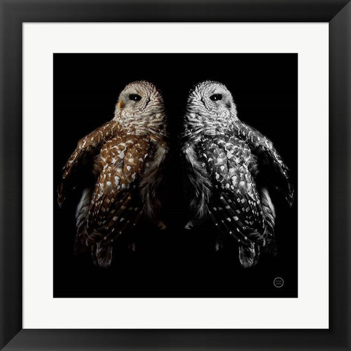 Still a Life by Nathan Larson, Framed Art