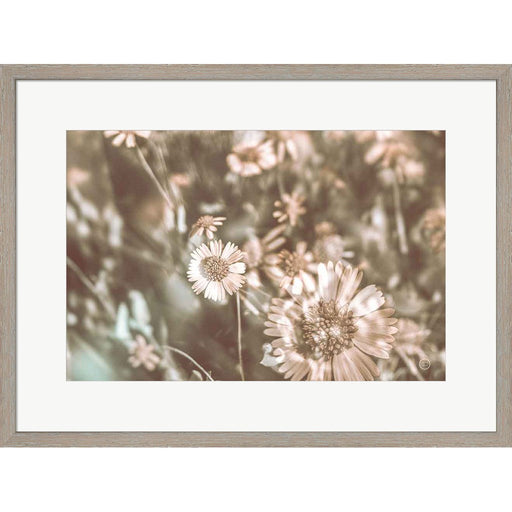Flower Power by Nathan Larson, Framed Art