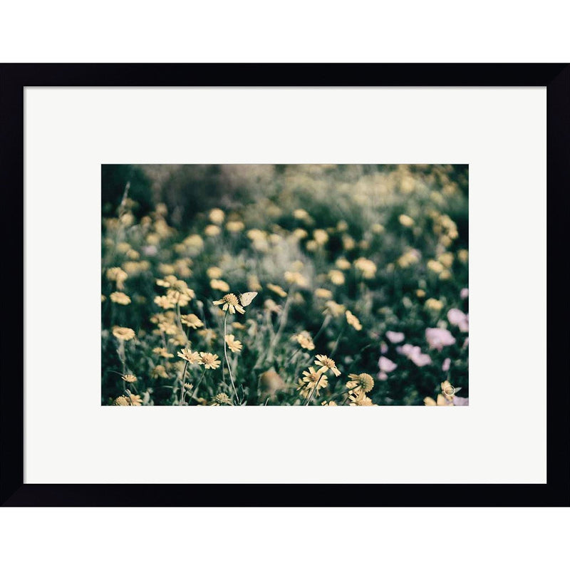 Field Friends Fade by Nathan Larson, Framed Art
