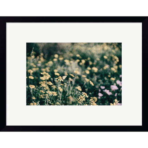 Field Friends Fade by Nathan Larson, Framed Art
