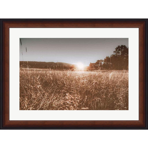 Fields of Gold by Nathan Larson, Framed Art