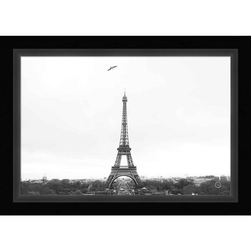 A Birds View of Paris Crop I by Nathan Larson, Framed Art