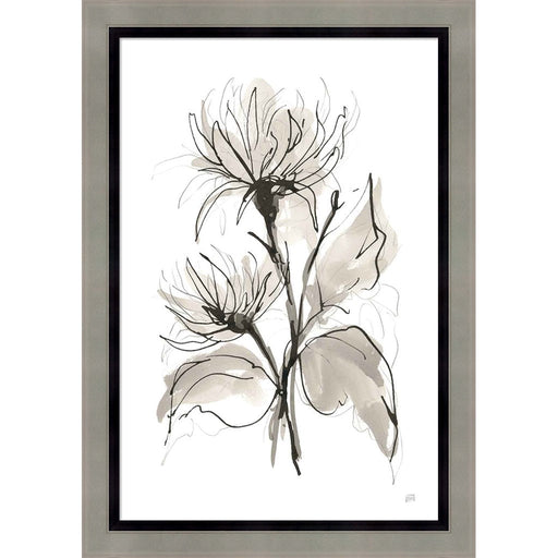 Chrysanthemum II by Chris Paschke, Framed Art