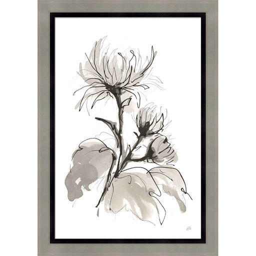 Chrysanthemum I by Chris Paschke, Framed Art