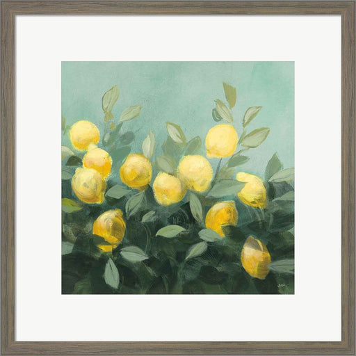 Lemon Grove II by Julia Purinton, Framed Art