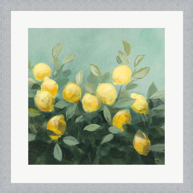Lemon Grove II by Julia Purinton, Framed Art