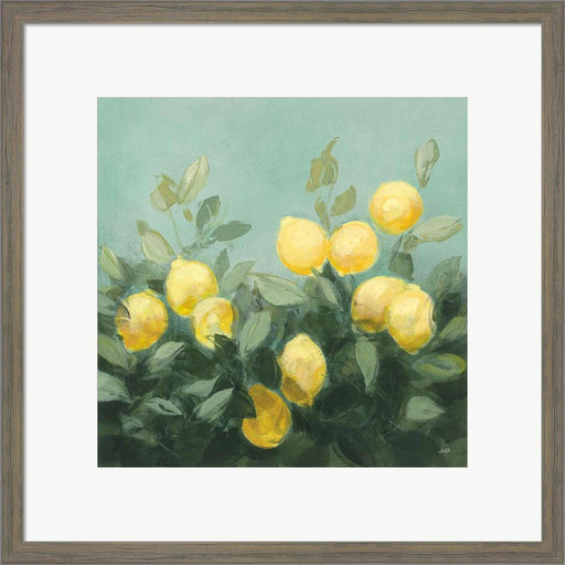 Lemon Grove I by Julia Purinton, Framed Art