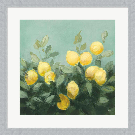 Lemon Grove I by Julia Purinton, Framed Art