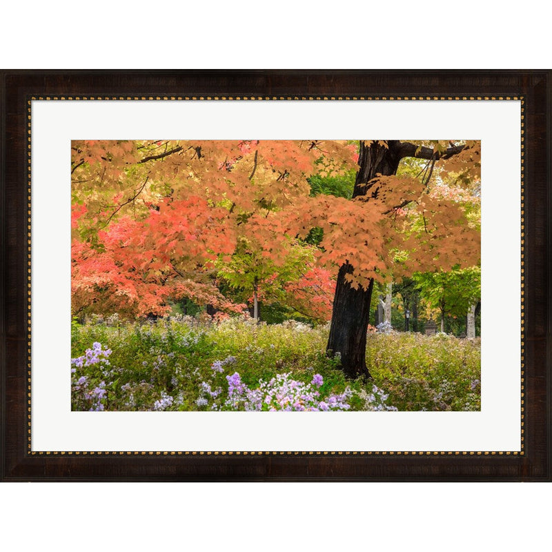 Autumn Splendor by Verne Varona, Framed Art