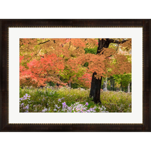 Autumn Splendor by Verne Varona, Framed Art
