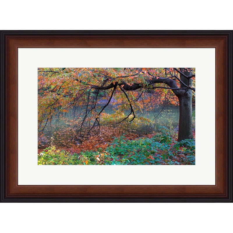 Fall Retreat by Verne Varona, Framed Art