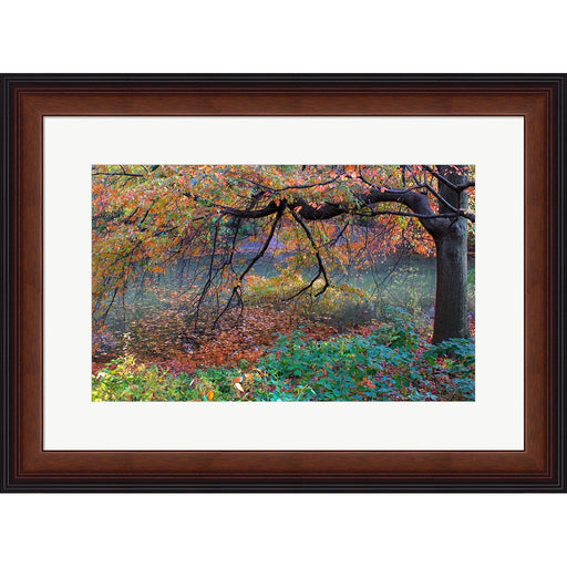 Fall Retreat by Verne Varona, Framed Art