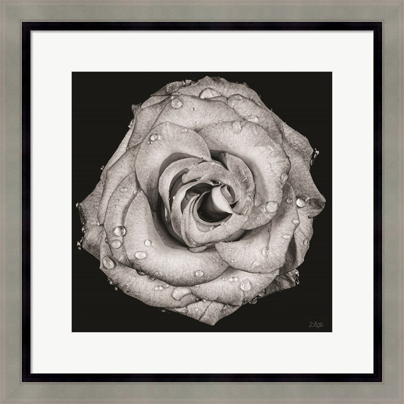 A Love Lost by Donnie Quillen, Framed Art