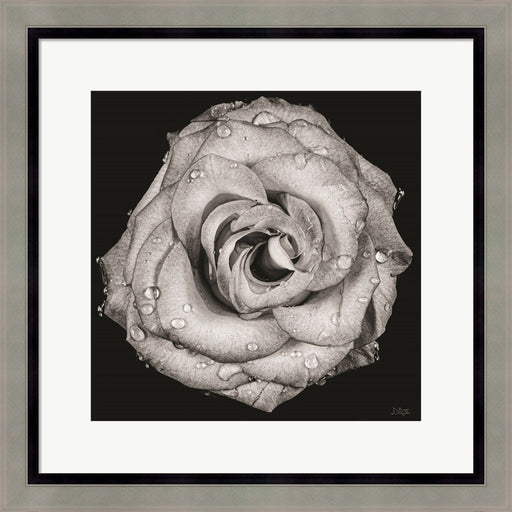 A Love Lost by Donnie Quillen, Framed Art