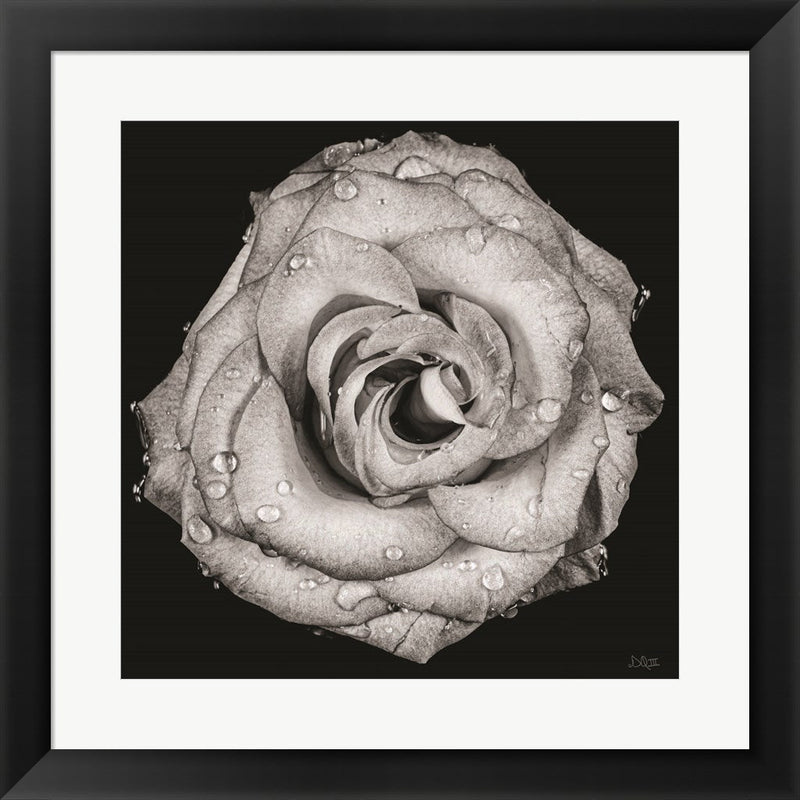 A Love Lost by Donnie Quillen, Framed Art