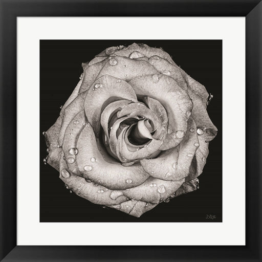 A Love Lost by Donnie Quillen, Framed Art