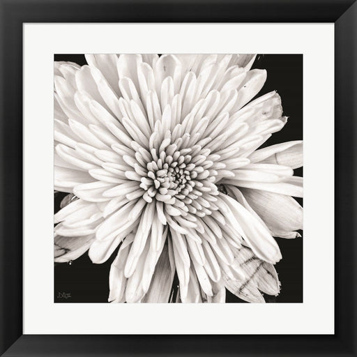 Black and White Love II by Donnie Quillen, Framed Art